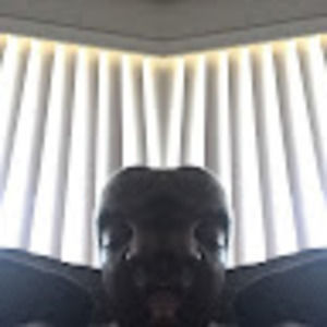 Meet your Posher, Rodney